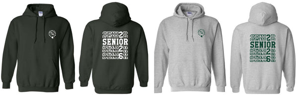 26ShenSeniors- NEW! Heavy Blend™ Hooded Sweatshirt