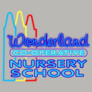WDNS22- Baseball Style T